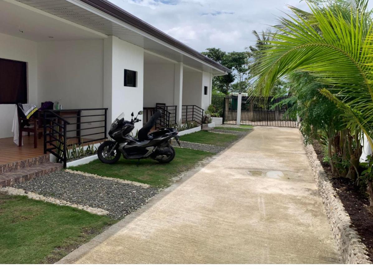 Palm Tree Lodge Moalboal Exterior foto